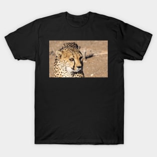 Cheetah. T-Shirt